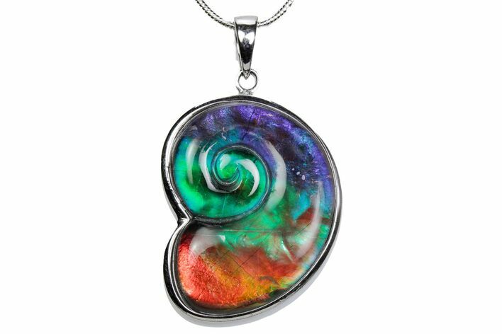 Stunning Ammolite Swirling Ammonite Pendant - Sterling Silver #380585